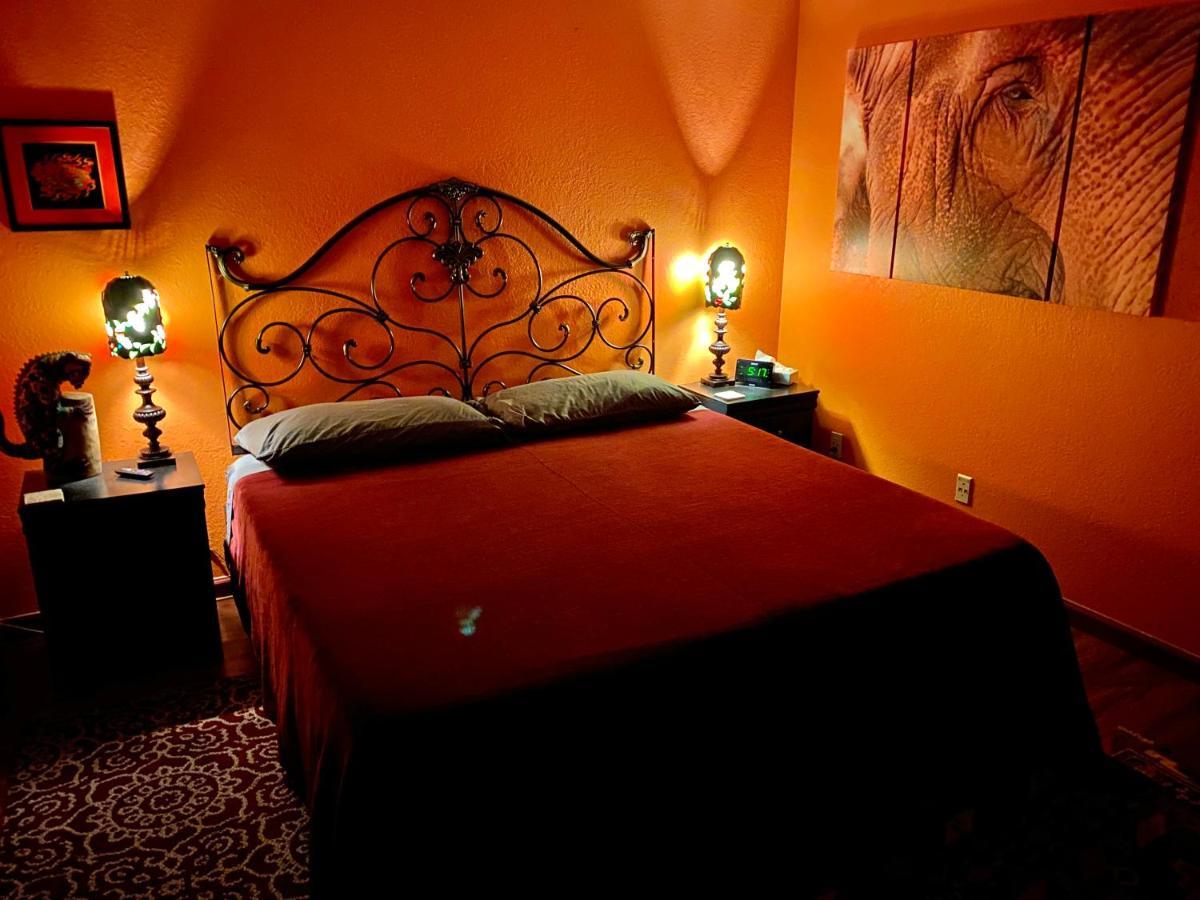 Bed and Breakfast My Big Art Project Santa Rosa Exterior foto