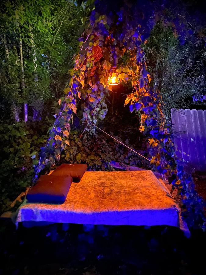 Bed and Breakfast My Big Art Project Santa Rosa Exterior foto