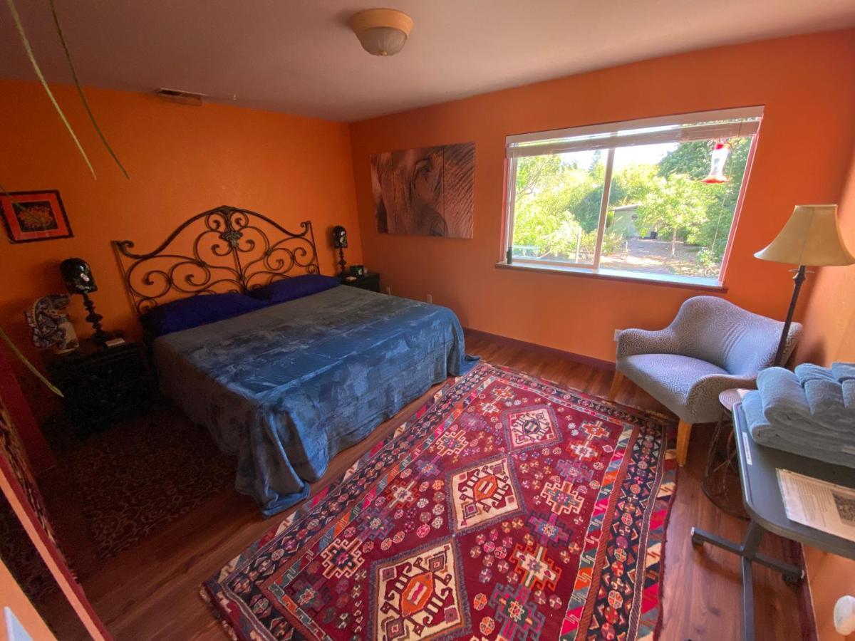 Bed and Breakfast My Big Art Project Santa Rosa Exterior foto